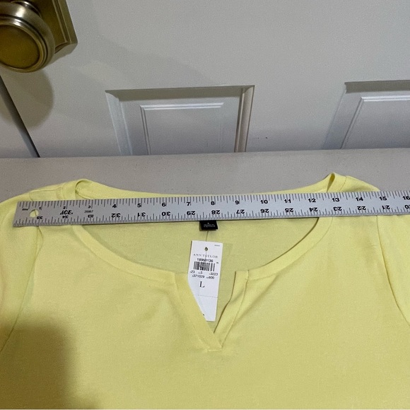 Ann Taylor Split Neck Cotton T-Shirt - Picture 9 of 13